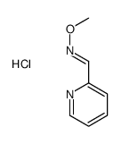 72989-54-9 structure