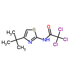 N-(4-tert-Butyl-1,3-thiazol-2-yl)-2,2,2-trichloroacetamide Structure