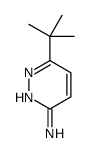 6-tert-butylpyridazin-3-amine picture