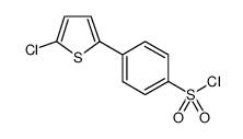 4-(5-chloro-2-thienyl)benzenesulfonyl chloride结构式