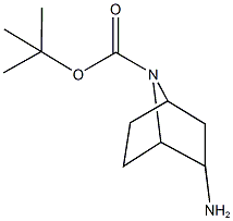 (1R,2R,4S)-叔-2-氨基-7-氮杂双环[2.2.1]庚烷-7-羧酸叔丁酯结构式