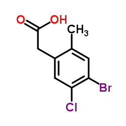 1009090-05-4 structure