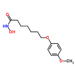 1176497-00-9 structure