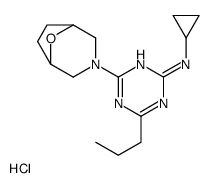 N-cyclopropyl-4-(8-oxa-3-azabicyclo[3.2.1]octan-3-yl)-6-propyl-1,3,5-triazin-2-amine,hydrochloride结构式