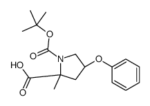 (2R,4R)-4-PHENOXY-1,2-PYRROLIDINEDICARBOXYLIC ACID1-(1,1-DIMETHYLETHYL)-2-METHYL ESTER结构式