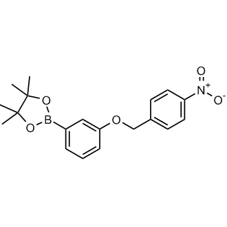 4,4,5,5-四甲基-2-(3-((4-硝基苄基)氧基)苯基)-1,3,2-二氧硼烷结构式