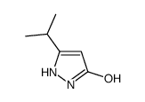 3H-Pyrazol-3-one,1,2-dihydro-5-(1-methylethyl)-(9CI)结构式