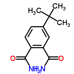 4-tert-butylbenzene-1,2-dicarboxamide Structure