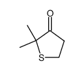 2,2-dimethylthiolan-3-one Structure