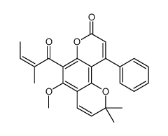 红厚壳内酯图片