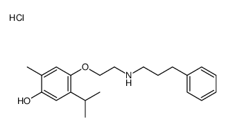 COR 28 21 Structure