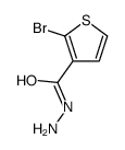 2-bromothiophene-3-carbohydrazide picture