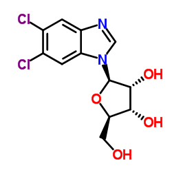 5,6-Dichlorobenzimidazole riboside Structure