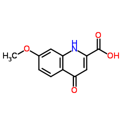 7-Methoxy-4-oxo-1,4-dihydroquinoline-2-carboxylic acid picture