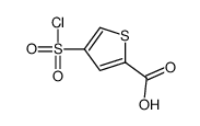 4-chlorosulfonylthiophene-2-carboxylic acid Structure