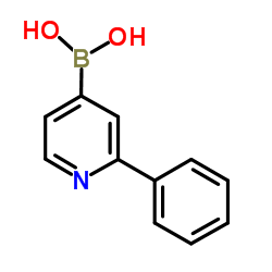 2-phenylpyridin-4-ylboronic acid Structure