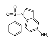 1-(benzenesulfonyl)indol-5-amine结构式