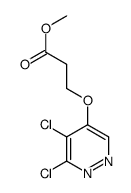 methyl 3-(5,6-dichloropyridazin-4-yl)oxypropanoate Structure