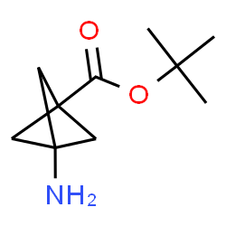 tert-butyl 3-aminobicyclo[1.1.1]pentane-1-carboxylate结构式