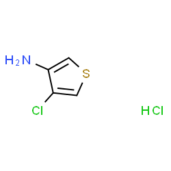 4-Chlorothiophen-3-amine hydrochloride picture