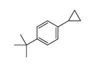 1-tert-butyl-4-cyclopropylbenzene结构式