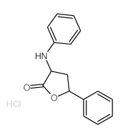 3-anilino-5-phenyl-oxolan-2-one Structure