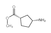 Cyclopentanecarboxylic acid, 3-amino-, methyl ester, (1S,3R)- (9CI) Structure