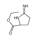 2H-Pyrrole-2-carboxylicacid,5-amino-3,4-dihydro-,ethylester,(2S)-(9CI) picture