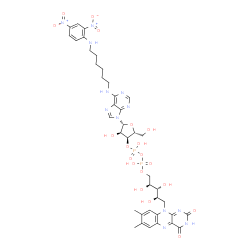 flavin N(6)-(N'-2,4-dinitrophenyl-6-aminohexyl)adenine structure