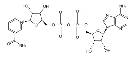 76961-04-1 structure