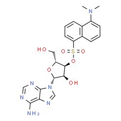 77446-71-0 structure