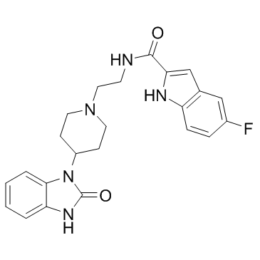 FIPI Structure