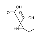 3,3-Oxaziridinedicarboxylicacid,2-(1-methylethyl)-(9CI) picture