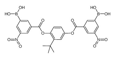 3-borono-5-nitrobenzoic acid 2-tert-butyl-1,4-phenylene ester Structure