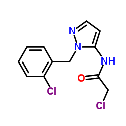 2-Chloro-N-[1-(2-chlorobenzyl)-1H-pyrazol-5-yl]acetamide structure