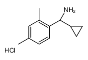 (1R)(2,4-二甲基苯基)环丙基甲胺盐酸盐图片