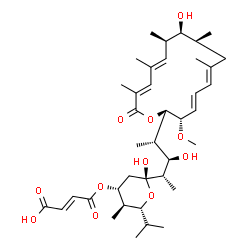 TS 155-2 Structure