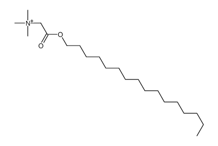 55068-19-4 structure