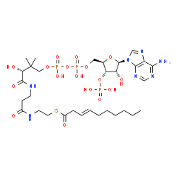 trans-3-Decenoyl-CoA结构式