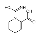 1-carbamoyl-3,4-dihydro-2H-pyridine-6-carboxylic acid Structure