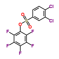 PENTAFLUOROPHENYL 3,4-DICHLORO-BENZENESULFONATE picture