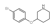 3-(4-bromophenoxy)piperidine picture