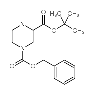 1-苄基 3-叔丁基哌嗪-1,3-二羧酸图片