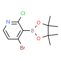 4-Bromo-2-chloropyridine-3-boronic acid pinacol ester结构式