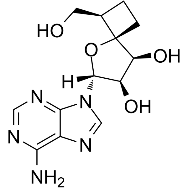 2567564-33-2 structure