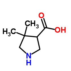 4,4-Dimethyl-3-pyrrolidinecarboxylic acid structure