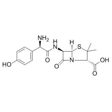 Amoxicillin picture