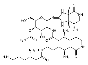 streptothricin D Structure