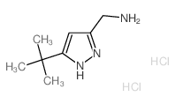 (3-tert-butyl-1H-pyrazol-5-yl)methanamine,dihydrochloride结构式