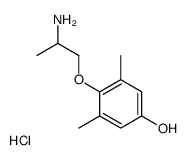 4-Hydroxy Mexiletine picture